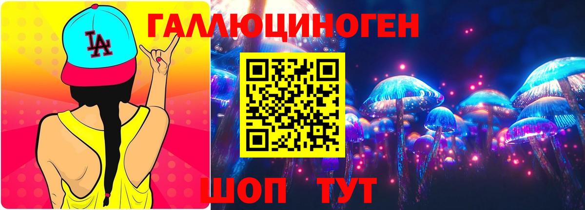 Галлюциногенные грибы Psilocybine cubensis Гусиноозёрск
