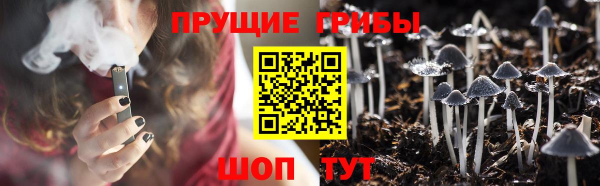 Галлюциногенные грибы GOLDEN TEACHER  Вход с VPN  Гусиноозёрск 
